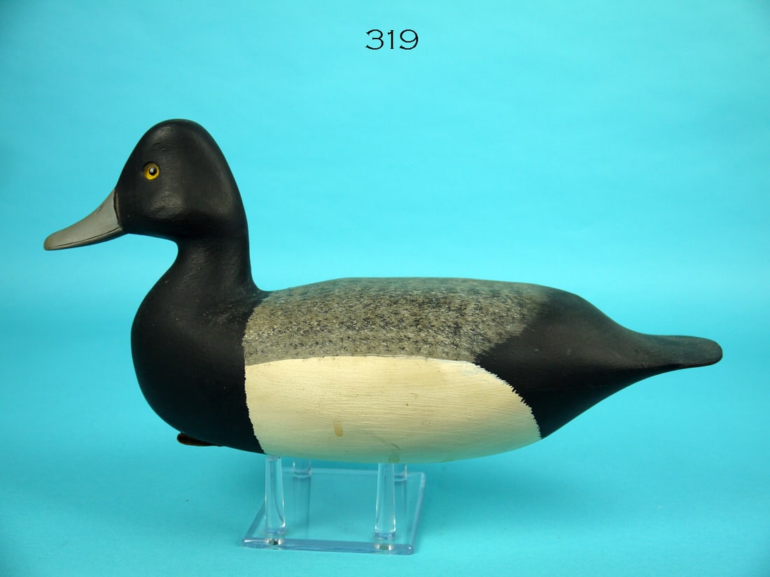 BLUEBILL DRAKE, H.V. SHOURDS (1 of 4)