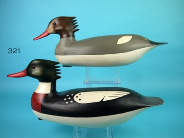RED-BREASTED MERGANSER PAIR, H.V. SHOURDS