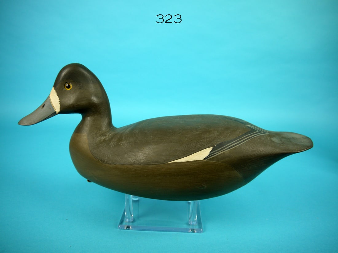 BLUEBILL HEN, H.V. SHOURDS (1 of 4)