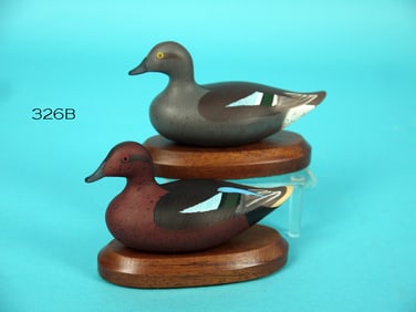 MINIATURE CINNAMON TEAL PAIR, P. VINCENTI