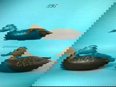 THREE BLACK DUCKS