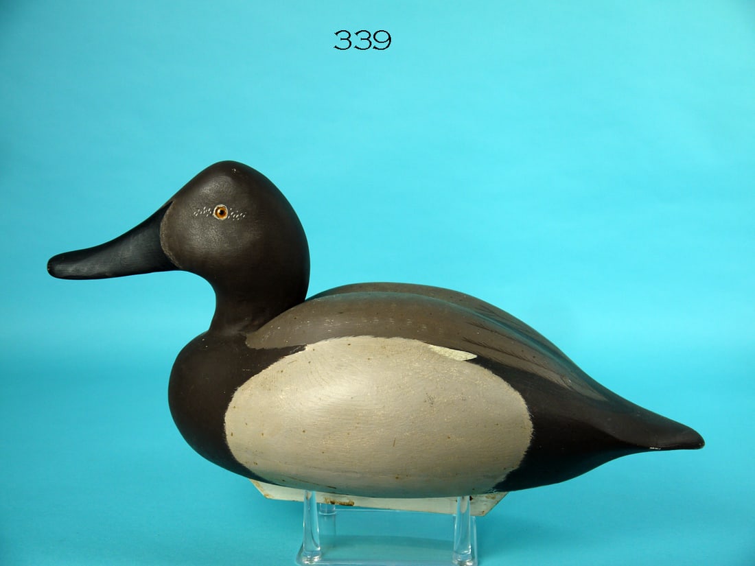 CANVASBACK HEN (1 of 4)