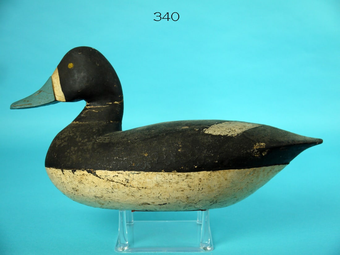 BLUEBILL DRAKE, NEW JERSEY (1 of 4)