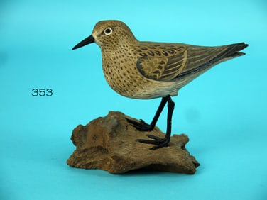 SANDERLING, A. THEODORE