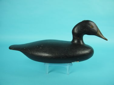 BLACK DUCK, H.A STEVENS COMPANY