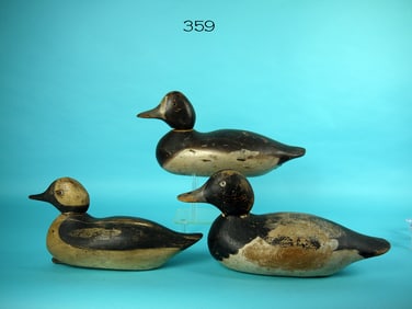 BLUEBILL PAIR, BUFFLEHEAD DRAKE, MASON