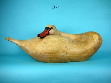 TWO SWANS