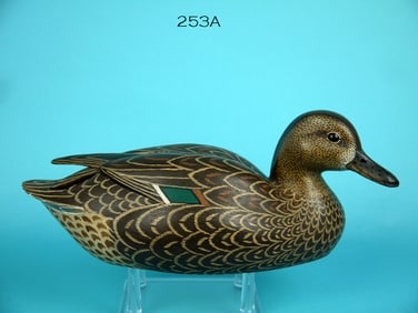 GREEN WING TEAL HEN, J. MCLOUGHLIN