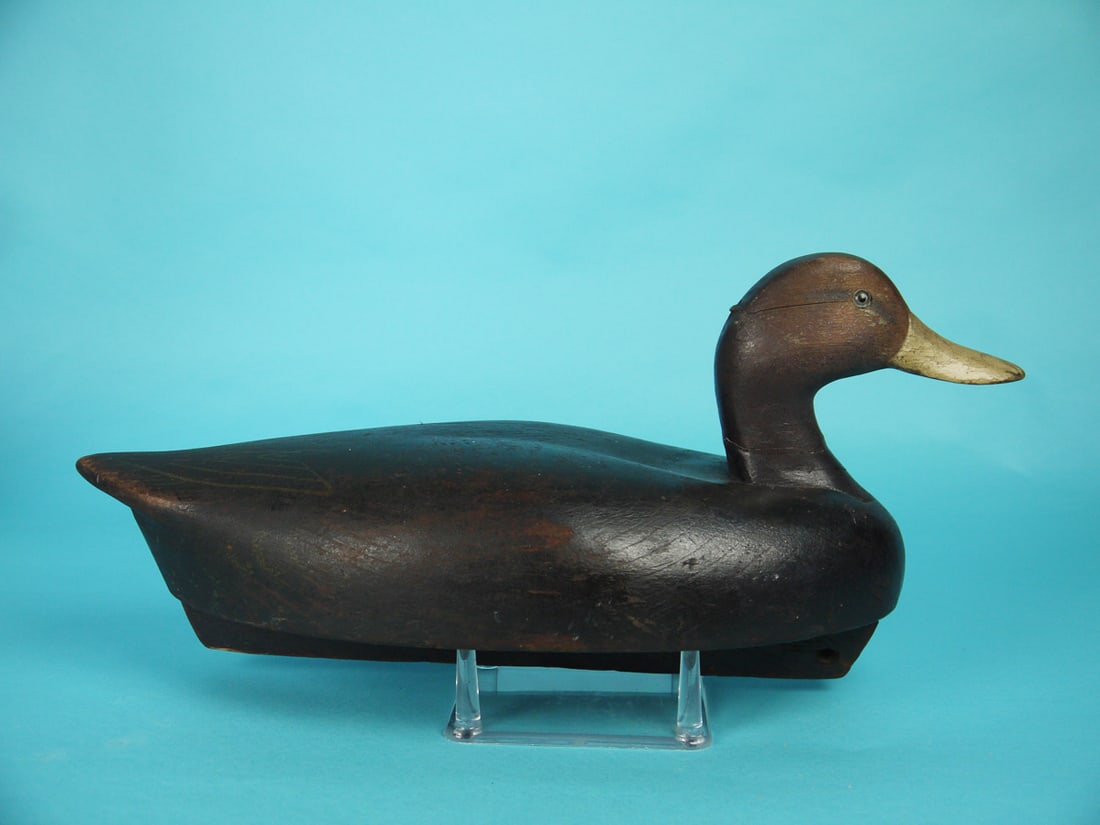 BLACK DUCK, WILDFOWLER (1 of 4)