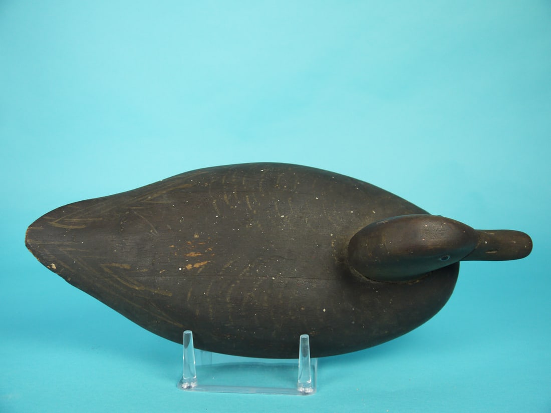 BLACK DUCK, WILDFOWLER - 3