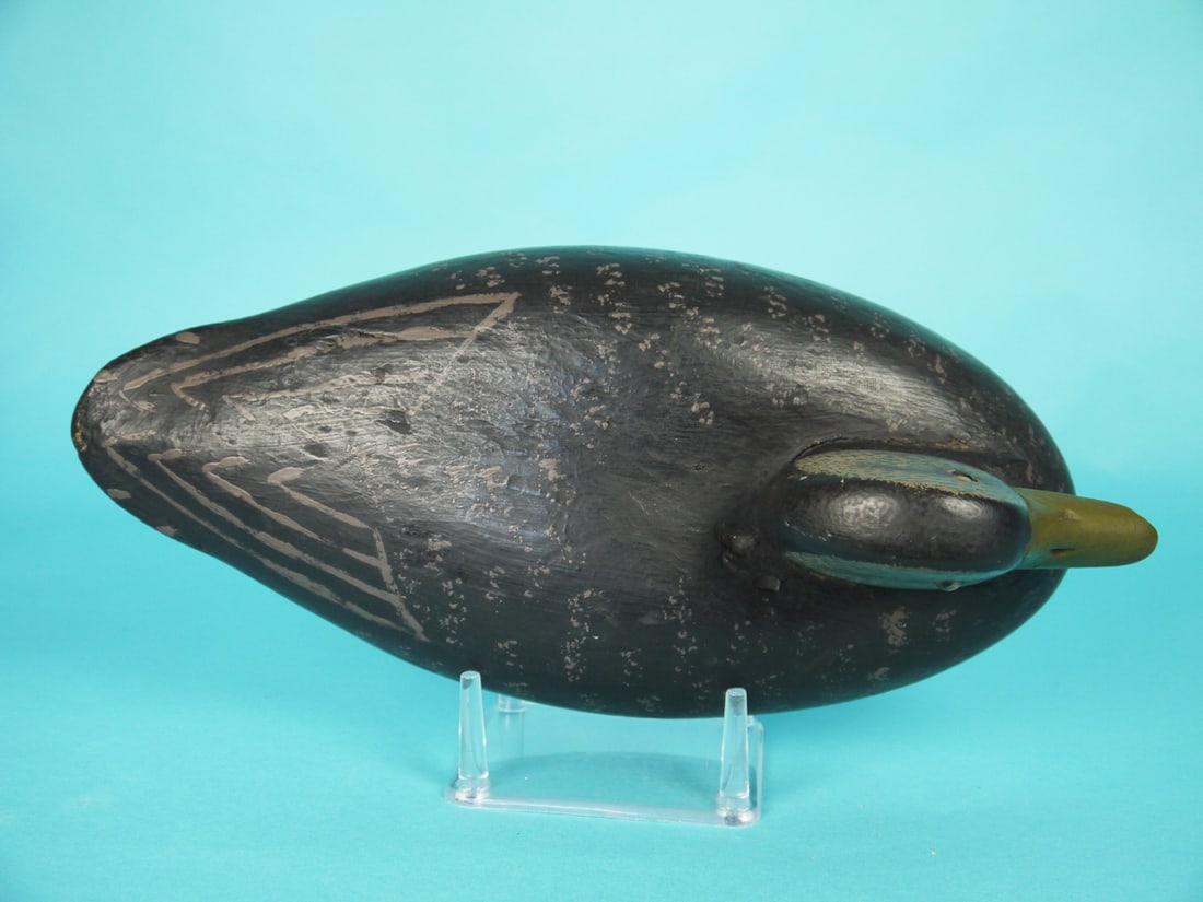 BLACK DUCK, WILDFOWLER - 3