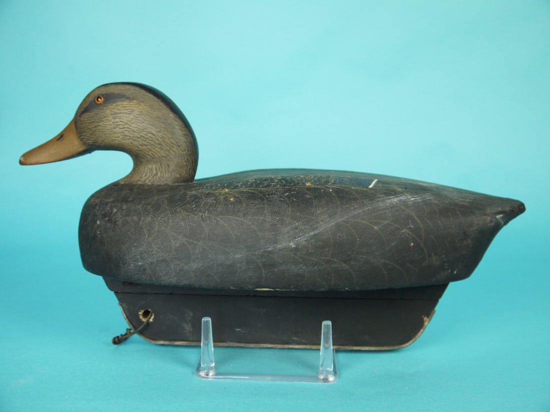BLACK DUCK, WILDFOWLER (1 of 4)