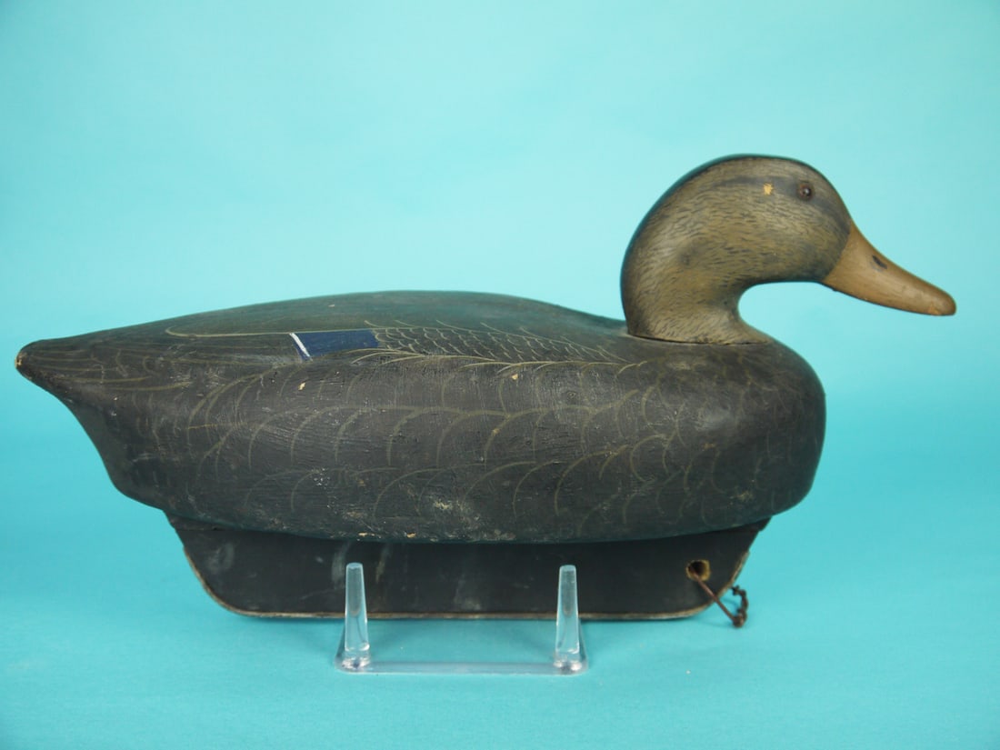 BLACK DUCK, WILDFOWLER - 2