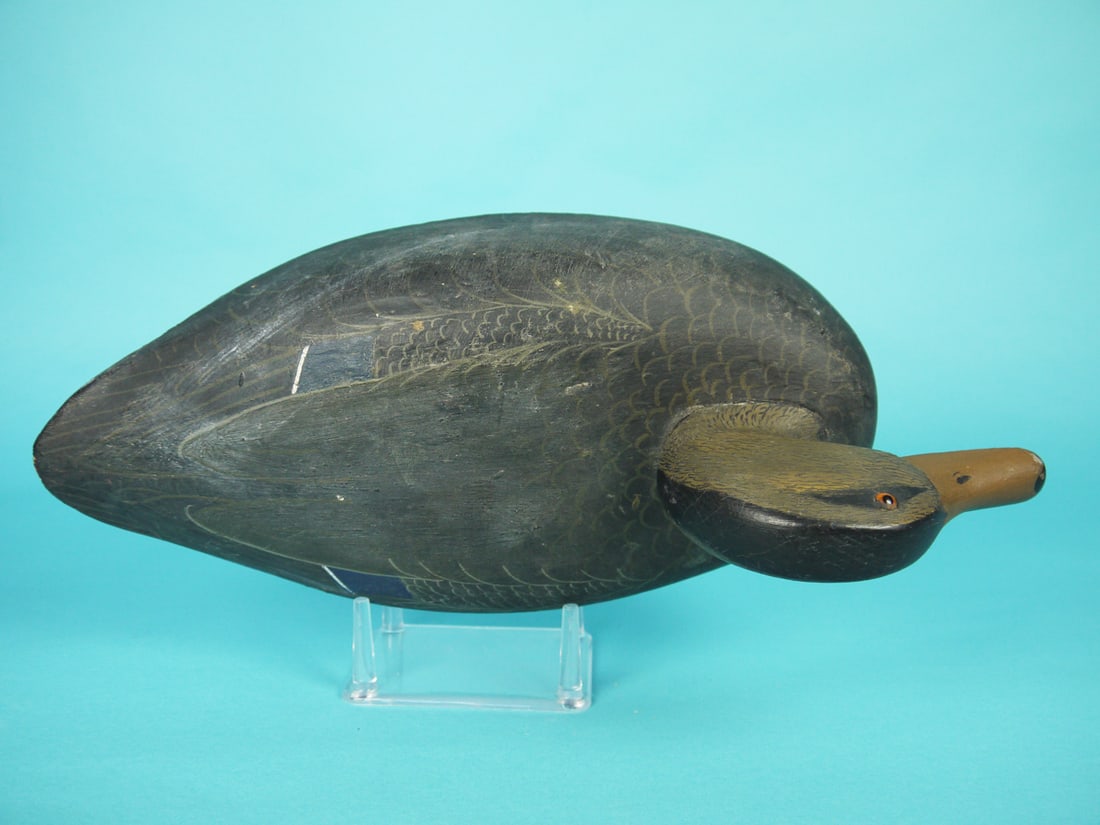 BLACK DUCK, WILDFOWLER - 3
