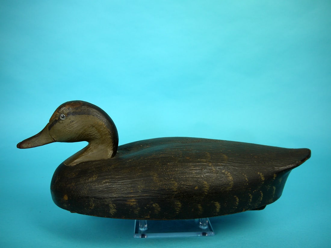 BLACK DUCK, WILDFOWLER (1 of 4)