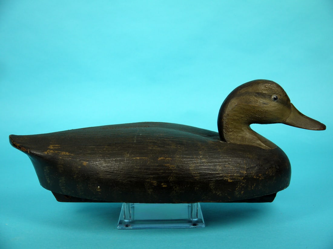 BLACK DUCK, WILDFOWLER - 2