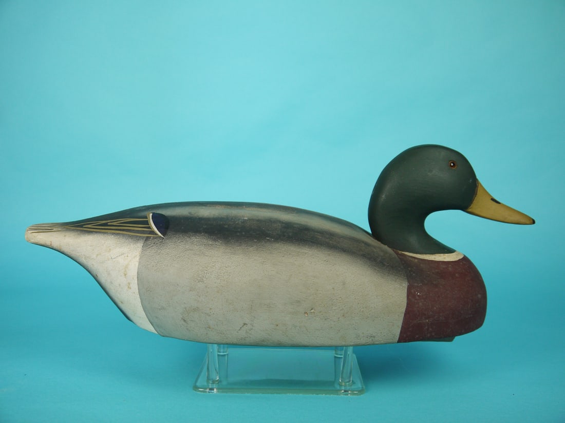 MALLARD DRAKE, WILDFOWLER - 2