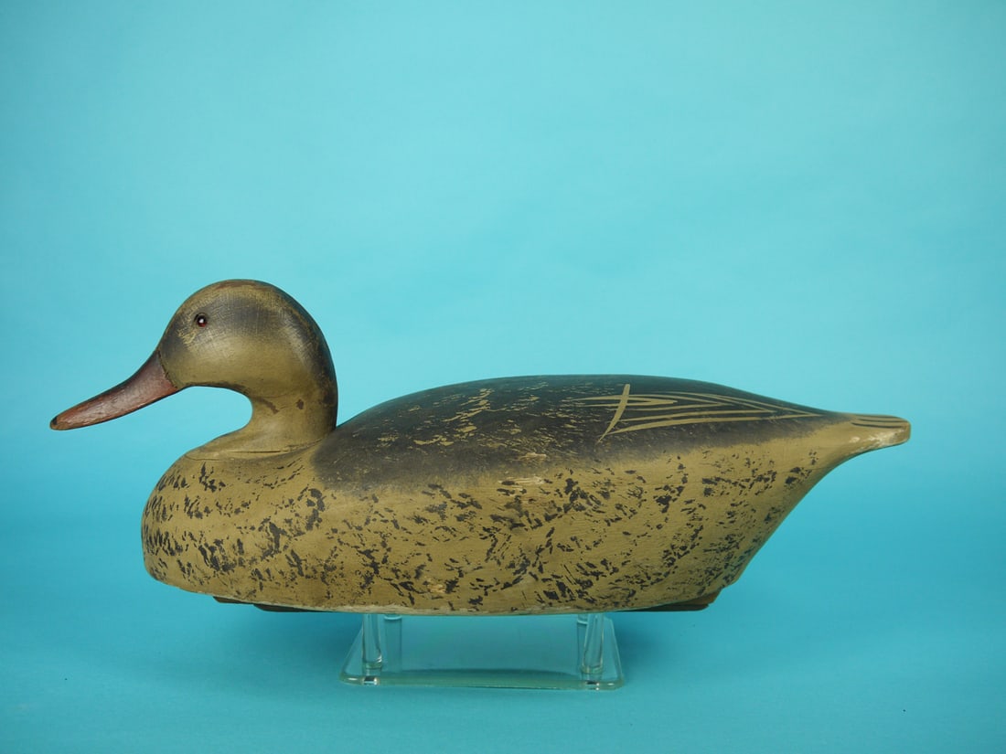 MALLARD HEN, WILDFOWLER (1 of 4)