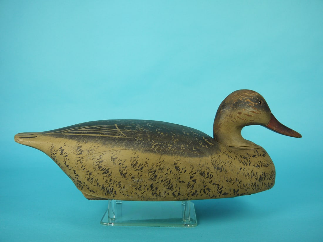 MALLARD HEN, WILDFOWLER - 2