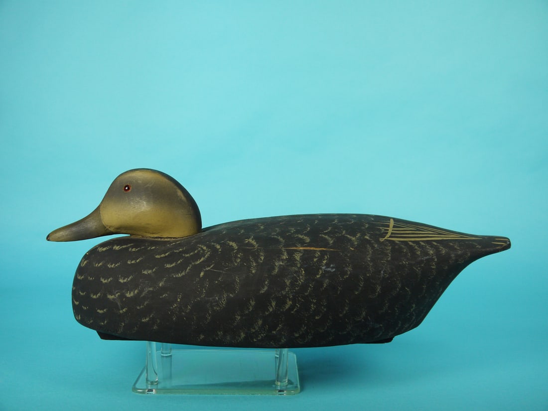 BLACK DUCK, WILDFOWLER (1 of 4)