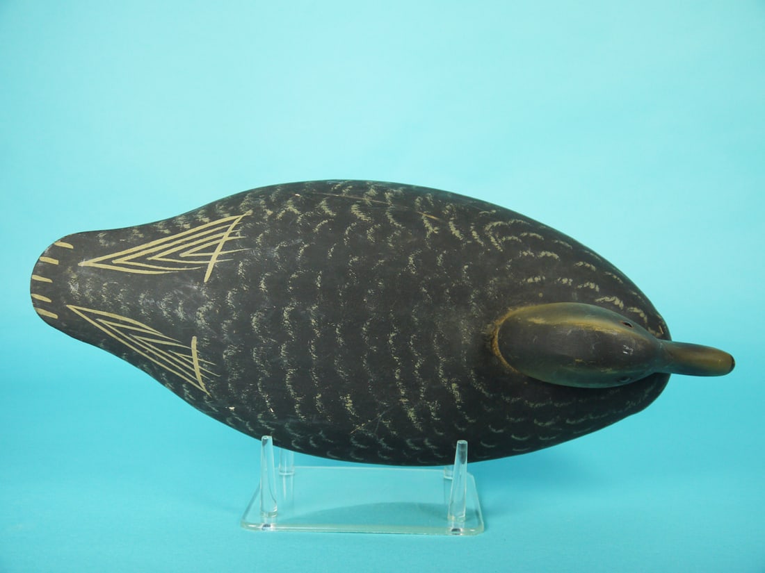 BLACK DUCK, WILDFOWLER - 3