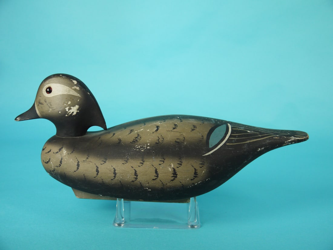 WOOD DUCK HEN, WILDFOWLER (1 of 4)