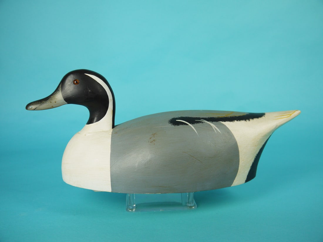 PINTAIL DRAKE, WILDFOWLER (1 of 4)