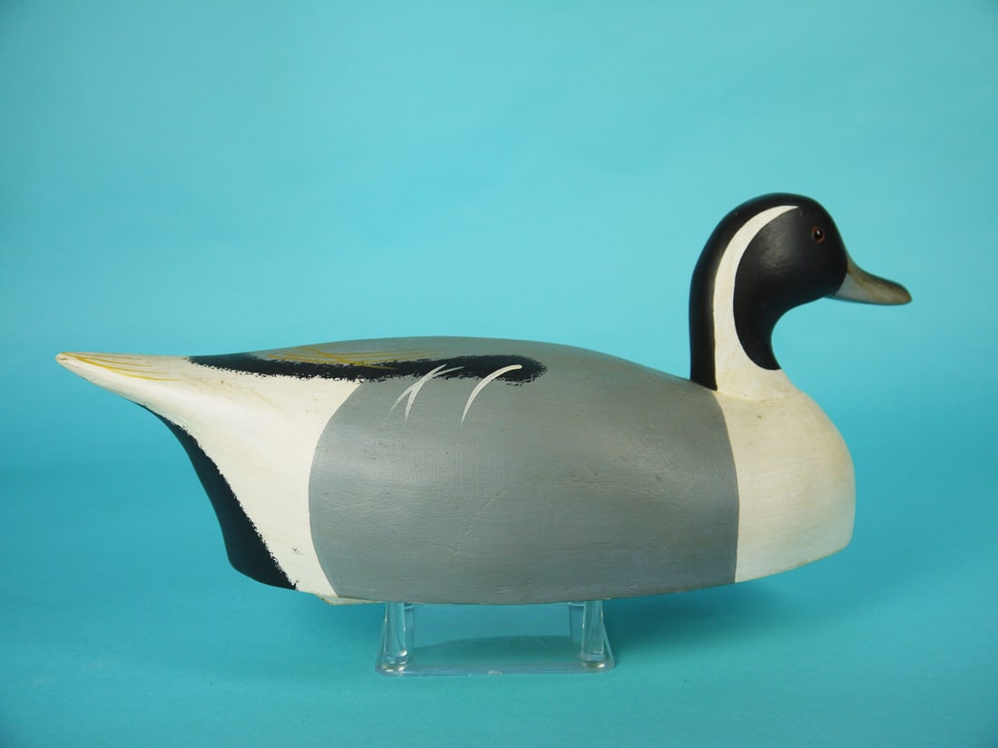 PINTAIL DRAKE, WILDFOWLER - 2