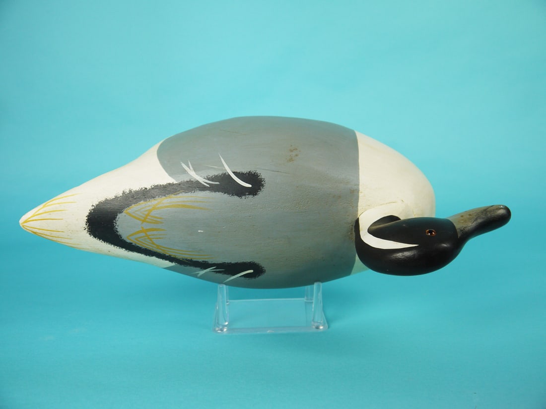 PINTAIL DRAKE, WILDFOWLER - 3