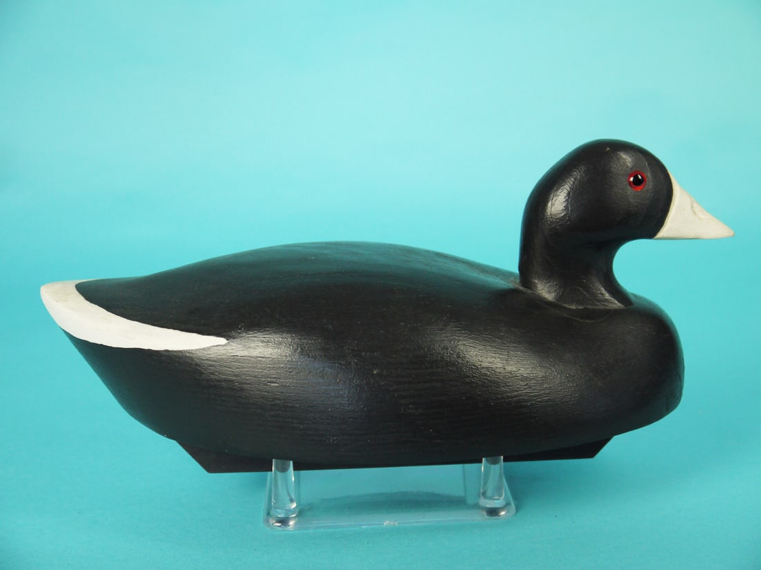 COOT, WILDFOWLER - 2