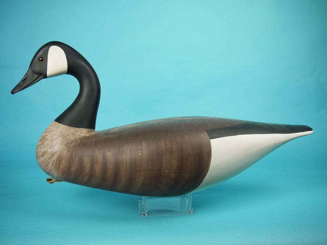 CANADA GOOSE, R. ALLEN (1 of 4)