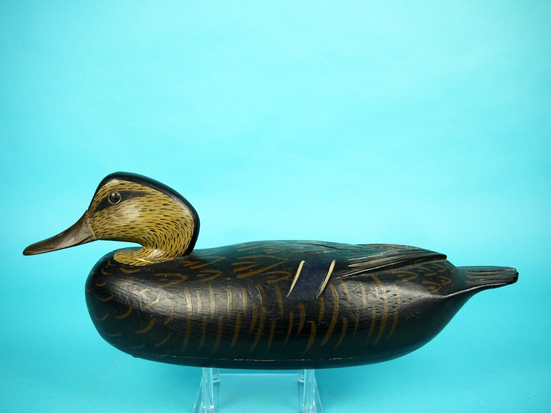 BLACK DUCK, R. ALLEN (1 of 4)