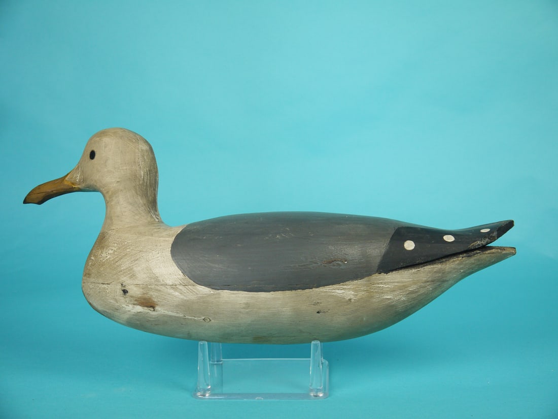 GULL, B. BIEBER: GULL by Bruce Bieber, Cape May, NJ. Antiqued original paint with some shrinkage to white areas. Very good structural condition. Split-tail carving. Head with painted eyes slightly turned. Retains