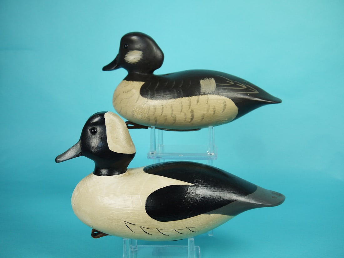 BUFFLEHEAD PAIR, G. BELL (1 of 4)