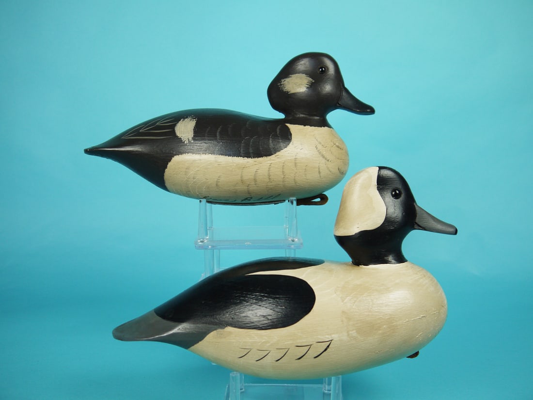 BUFFLEHEAD PAIR, G. BELL - 2