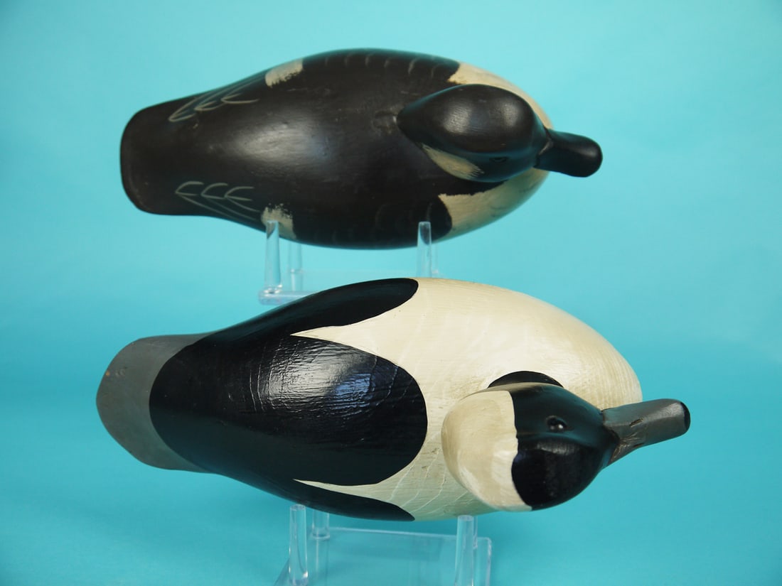 BUFFLEHEAD PAIR, G. BELL - 3
