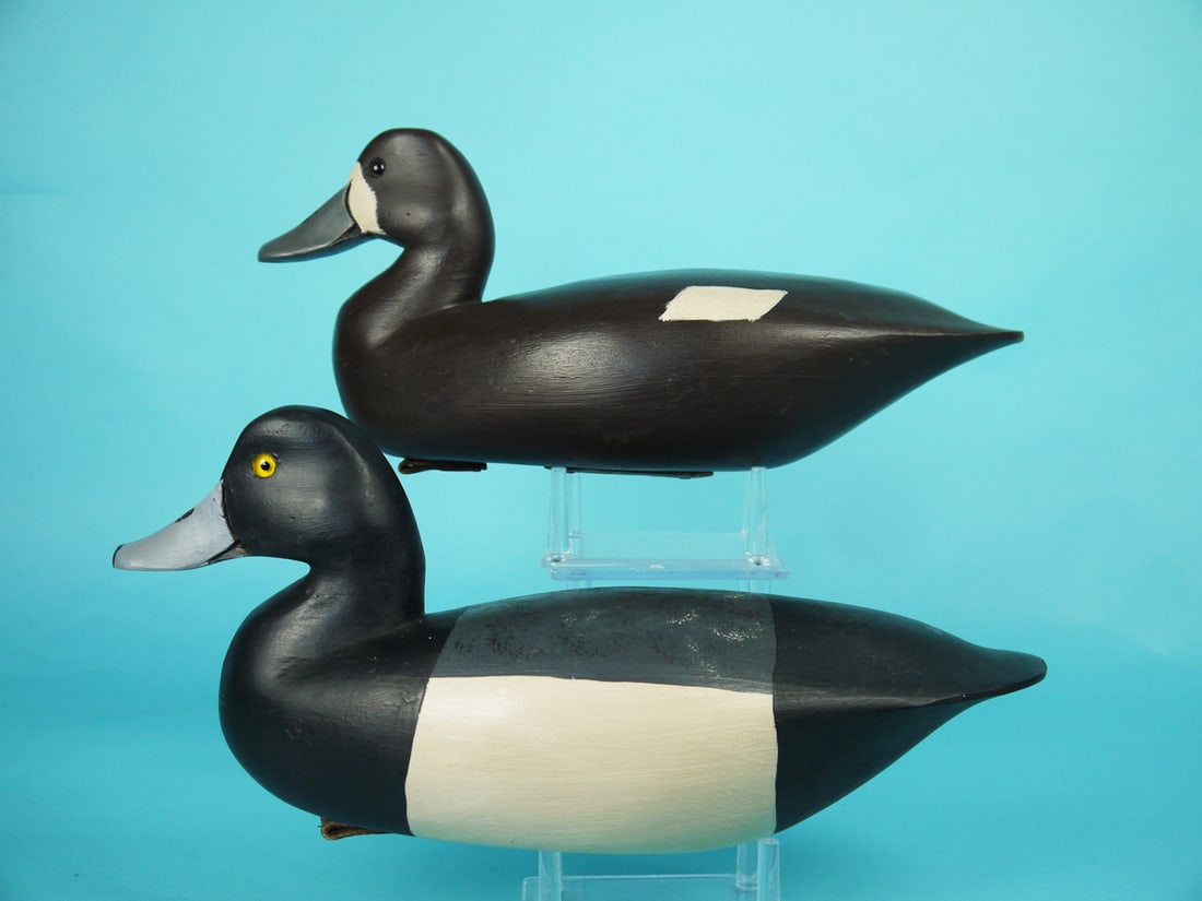 BROADBILL PAIR, G. BELL (1 of 4)