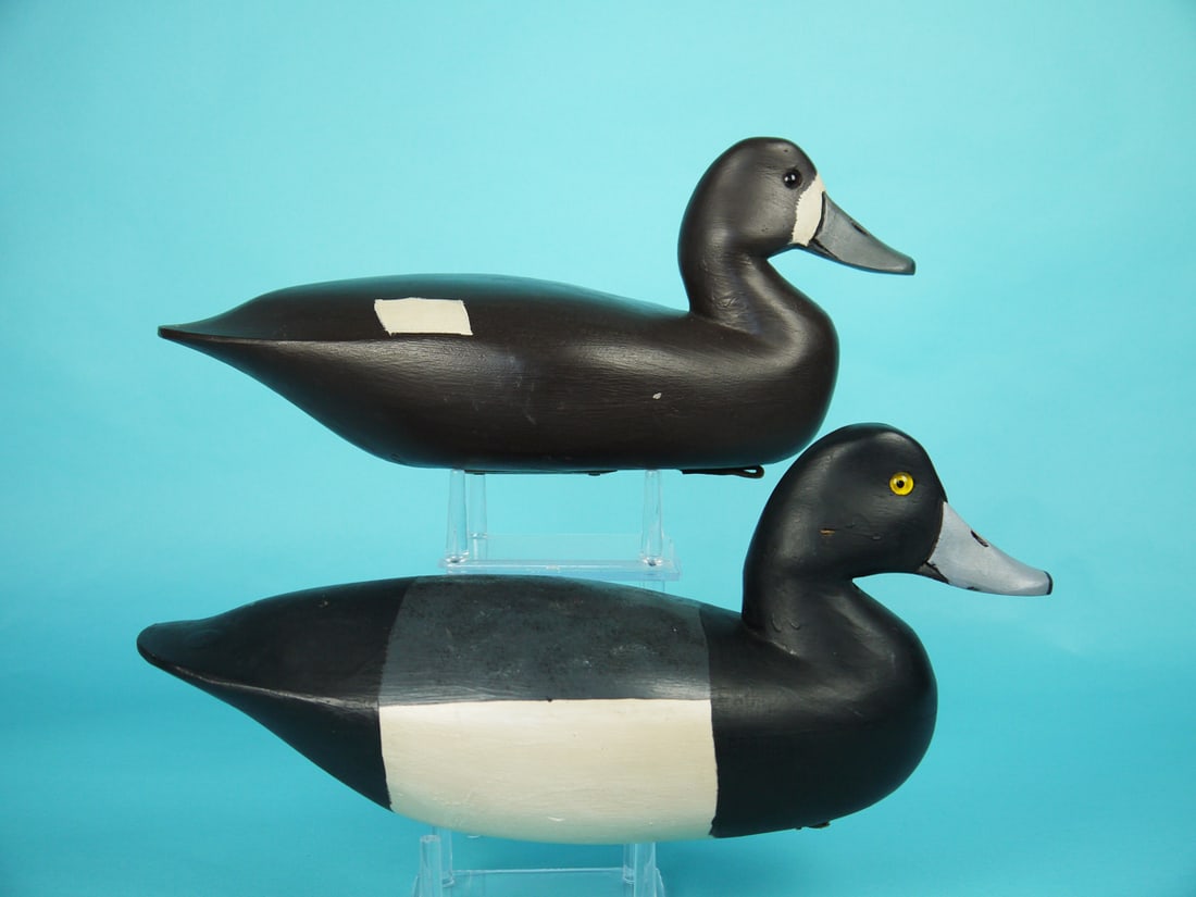 BROADBILL PAIR, G. BELL - 2