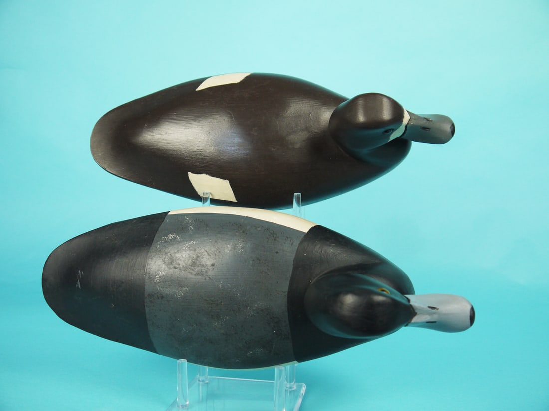 BROADBILL PAIR, G. BELL - 3