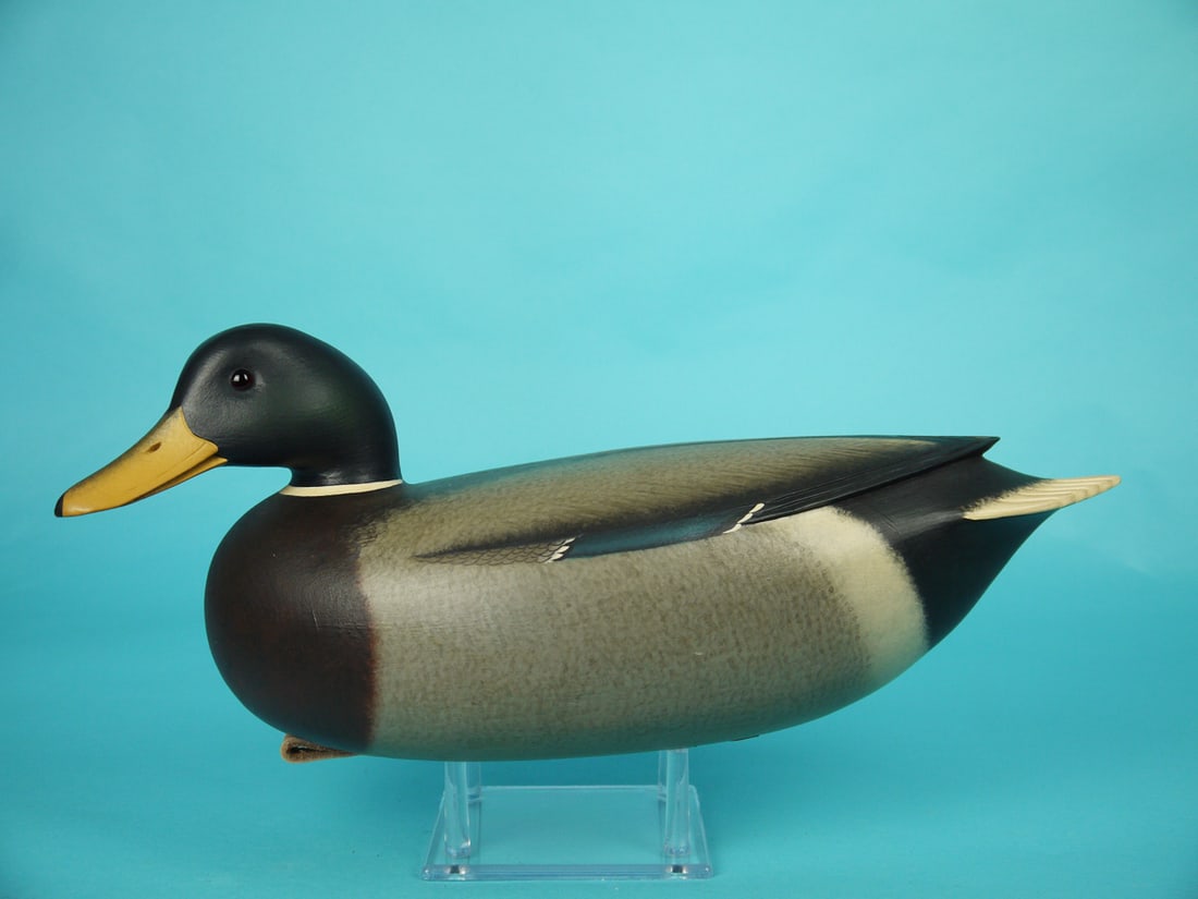 MALLARD DRAKE, F.C. BROWN, JR. (1 of 4)