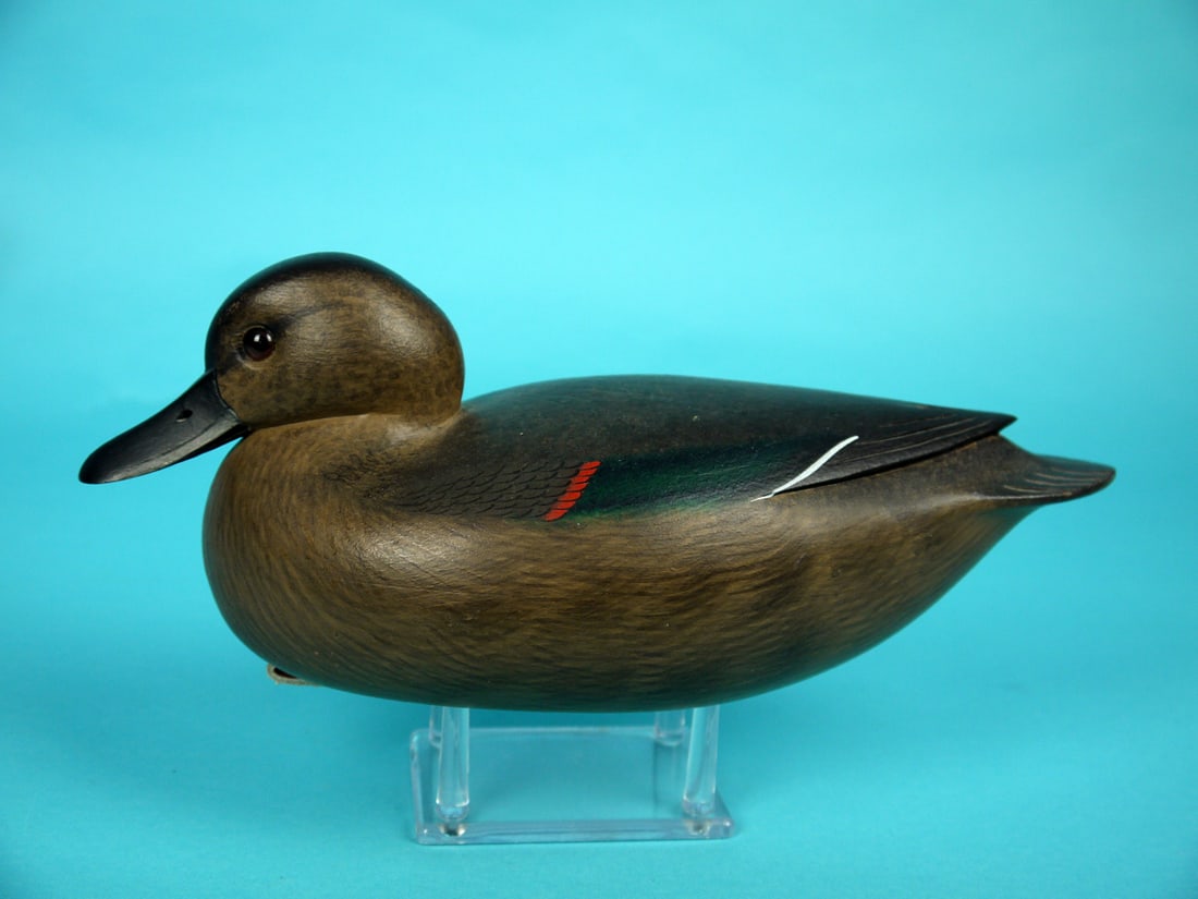 GREEN WING TEAL HEN, F.C. BROWN, JR. (1 of 4)