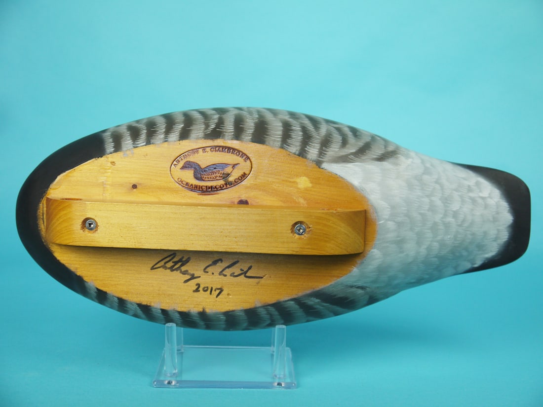 BRANT, A. CIAMBRONE - 4