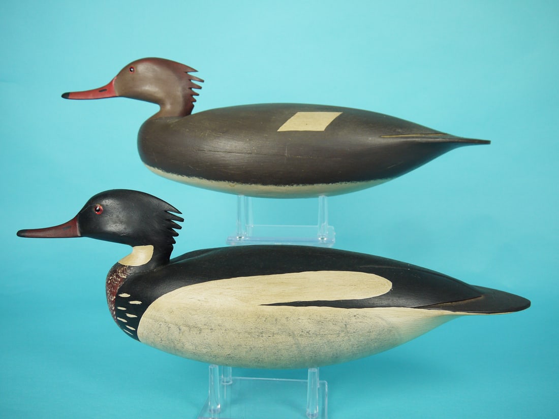 RED-BREASTER MERGANSER PAIR, H. CONKLIN (1 of 4)
