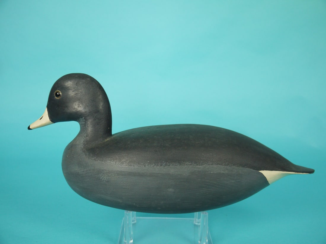 COOT, H. CONKLIN: RARE COOT by Hurley Conklin, Manahawkin, NJ. Very good original paint and structural condition. Hollow construction. Round plump body with head just slightly turned. Retains glass eyes and inlet weigh