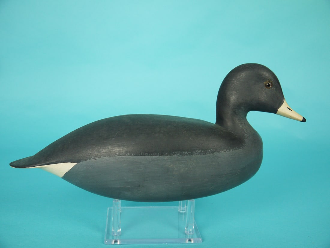 COOT, H. CONKLIN - 2