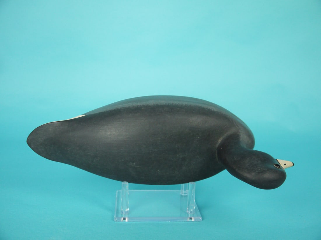 COOT, H. CONKLIN - 3