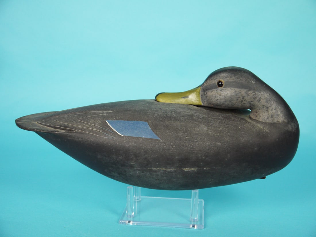 SLEEPING BLACK DUCK, H. CONKLIN (1 of 4)