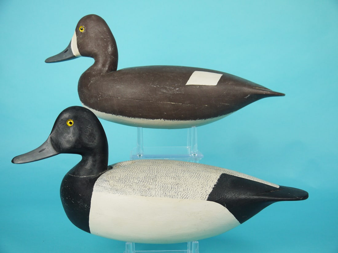 BLUEBILL PAIR, H. CONKLIN (1 of 4)