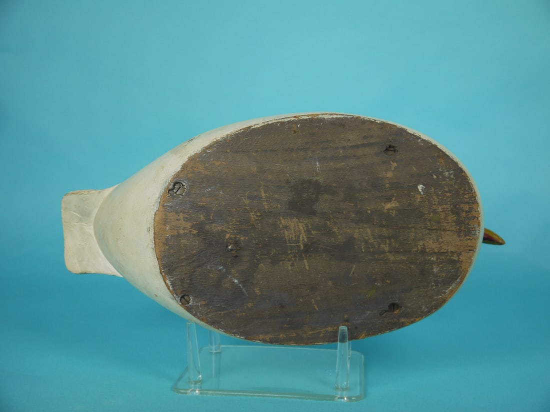 RARE GULL, W. CRANMER - 4