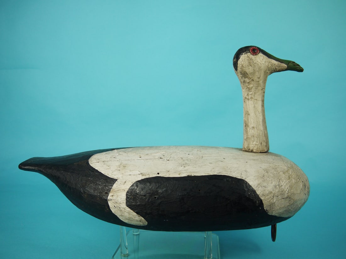 EIDER, G. ELMER - 2